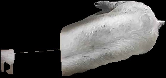 Crop