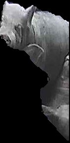 Crop