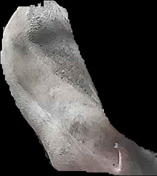Crop
