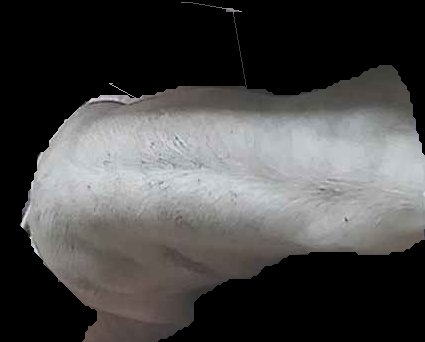 Crop
