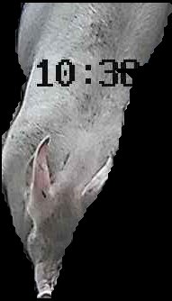 Crop