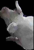 Crop