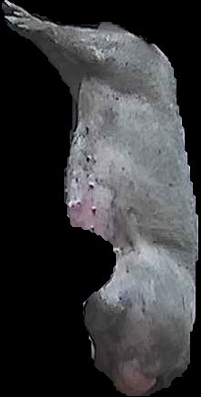 Crop