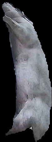 Crop