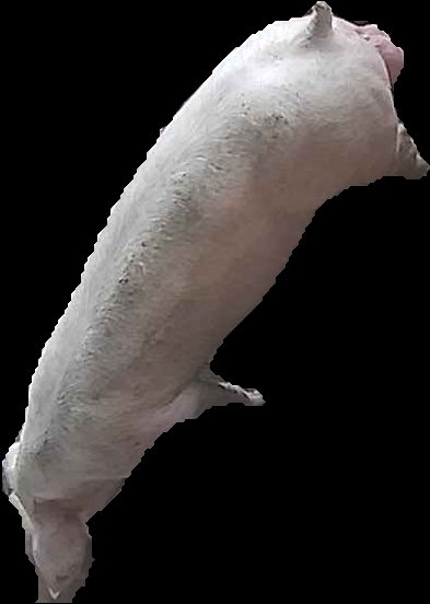 Crop