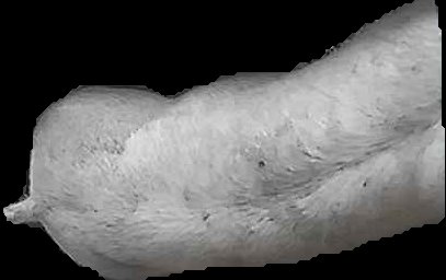 Crop