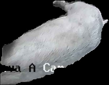 Crop