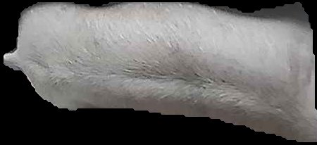 Crop