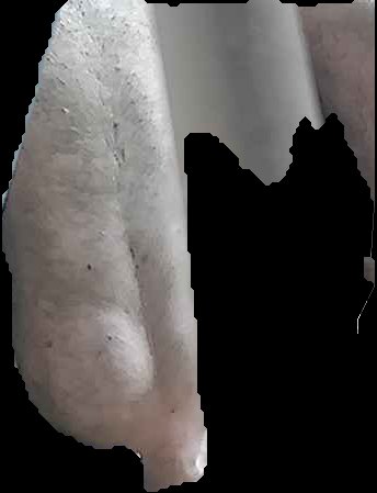 Crop