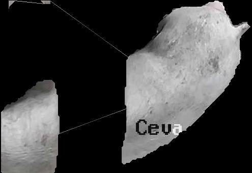 Crop