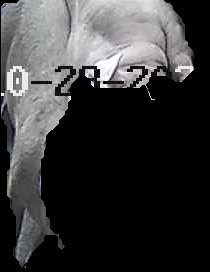 Crop