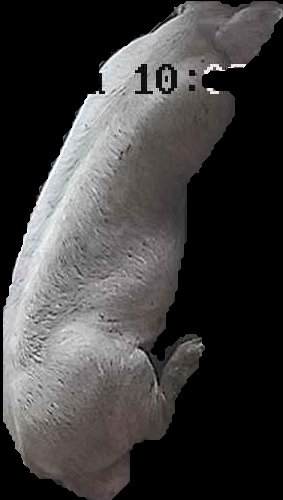 Crop