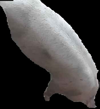 Crop