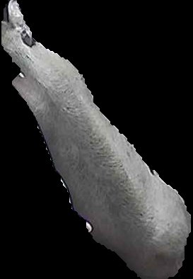Crop