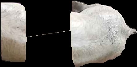 Crop