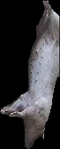 Crop