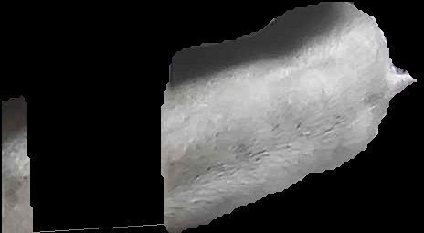 Crop