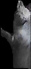Crop