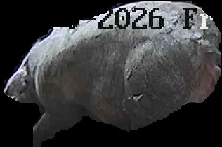 Crop
