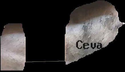 Crop