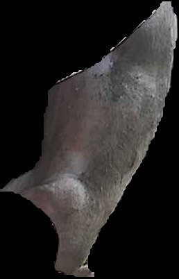 Crop