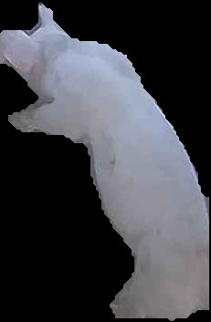 Crop
