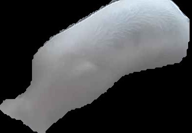 Crop