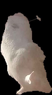 Crop