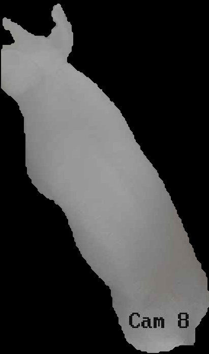 Crop