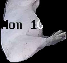 Crop