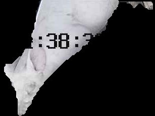 Crop
