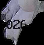 Crop