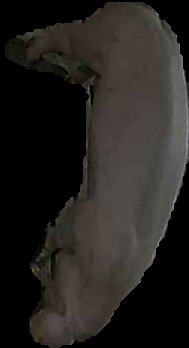 Crop