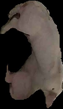 Crop