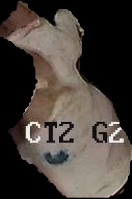 Crop