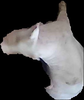 Crop