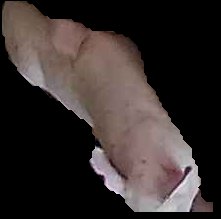 Crop
