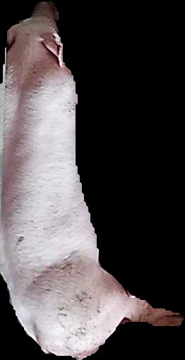 Crop