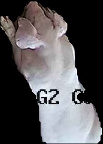 Crop