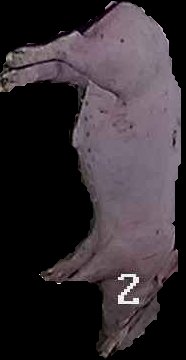 Crop