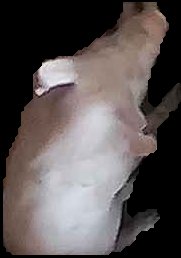 Crop