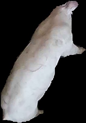 Crop