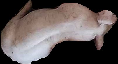 Crop