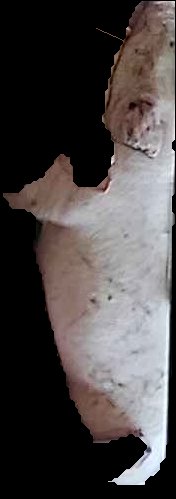 Crop
