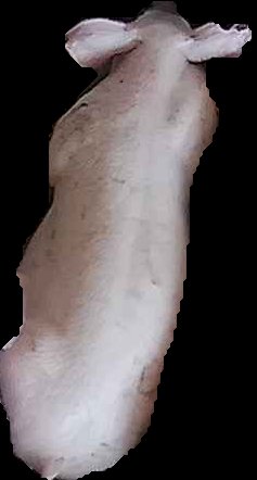 Crop