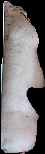 Crop