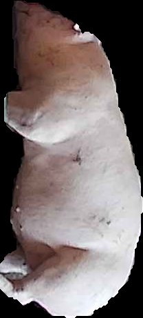 Crop