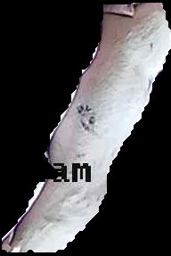 Crop