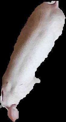 Crop