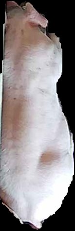 Crop